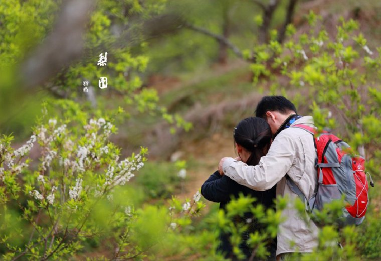 【测试】广东最美乡村休闲徒步、赏梅花、摘砂糖橘