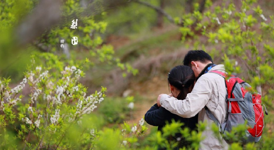 12月30日（周日）广东最美乡村休闲徒步、赏梅花、摘砂糖橘