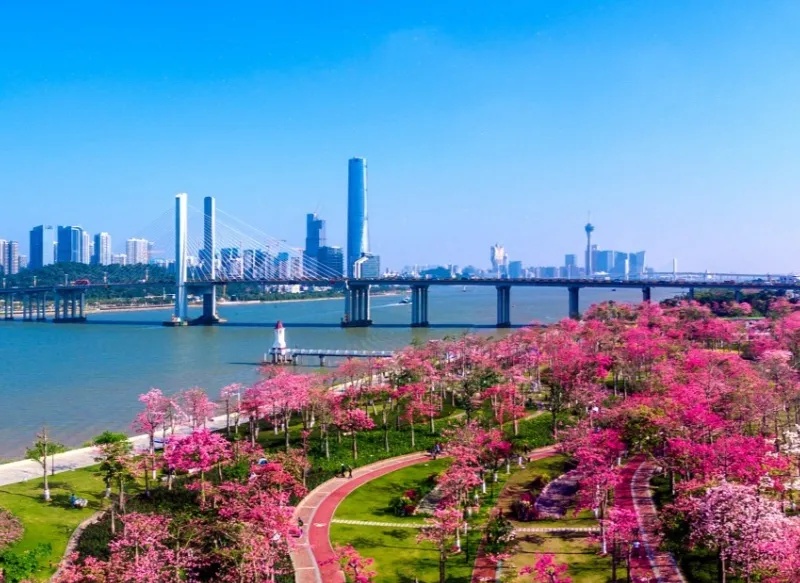 花海长廊 花海长廊