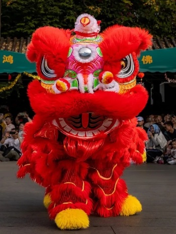 舞狮子 舞狮子